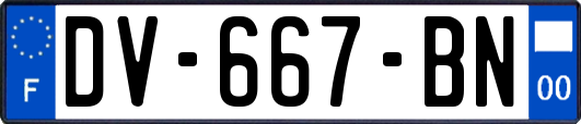 DV-667-BN