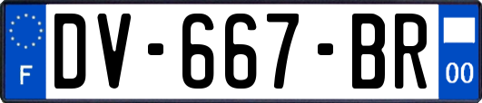 DV-667-BR