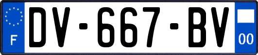 DV-667-BV