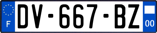 DV-667-BZ