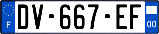 DV-667-EF