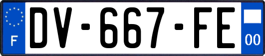 DV-667-FE