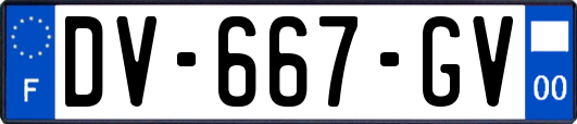 DV-667-GV