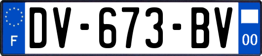 DV-673-BV