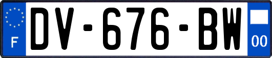 DV-676-BW