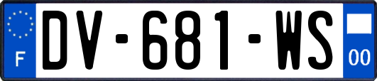 DV-681-WS