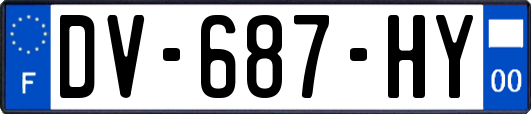 DV-687-HY