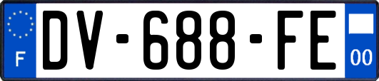 DV-688-FE