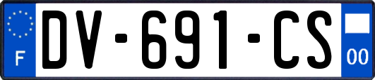 DV-691-CS