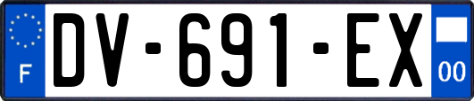 DV-691-EX