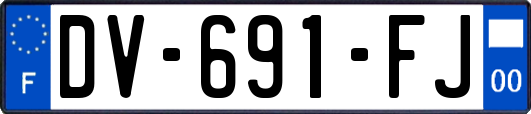 DV-691-FJ