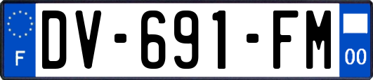 DV-691-FM