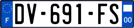 DV-691-FS