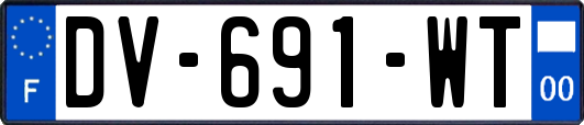 DV-691-WT