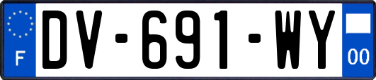 DV-691-WY