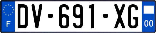 DV-691-XG