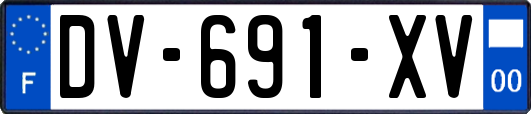 DV-691-XV