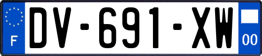 DV-691-XW