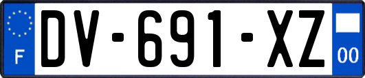 DV-691-XZ