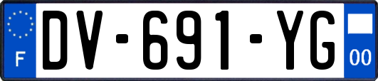 DV-691-YG