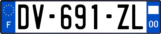DV-691-ZL