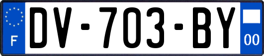 DV-703-BY