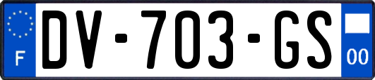 DV-703-GS