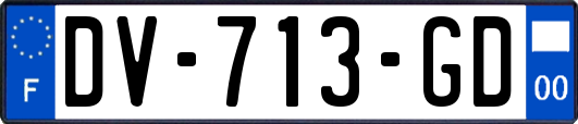 DV-713-GD