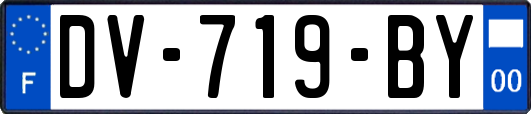 DV-719-BY