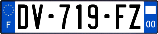 DV-719-FZ