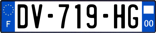 DV-719-HG