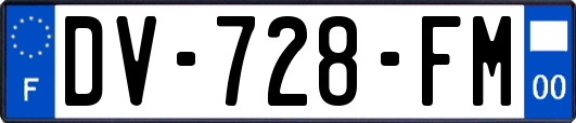 DV-728-FM