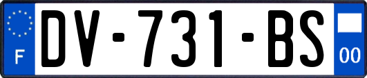 DV-731-BS