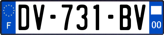 DV-731-BV