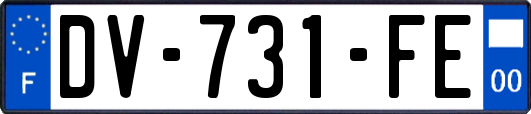 DV-731-FE