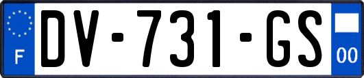 DV-731-GS