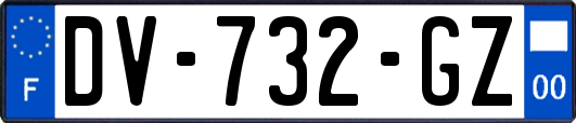 DV-732-GZ