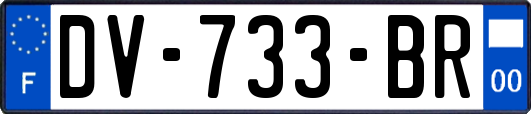 DV-733-BR