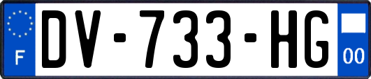 DV-733-HG