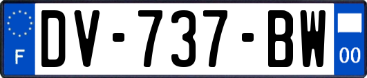 DV-737-BW