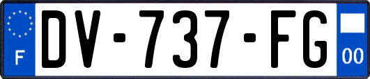 DV-737-FG