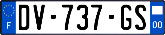 DV-737-GS