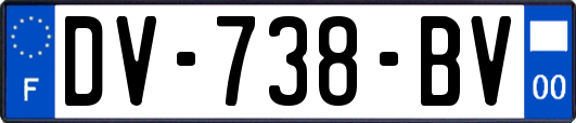 DV-738-BV