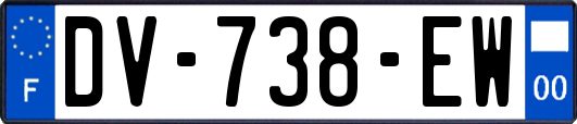 DV-738-EW