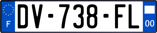 DV-738-FL