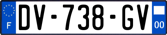 DV-738-GV