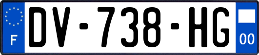 DV-738-HG