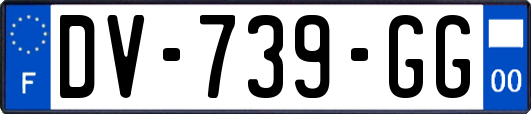 DV-739-GG