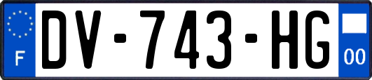 DV-743-HG