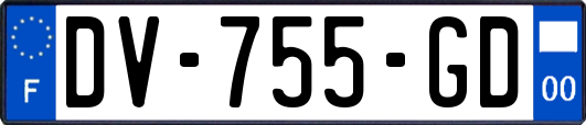 DV-755-GD